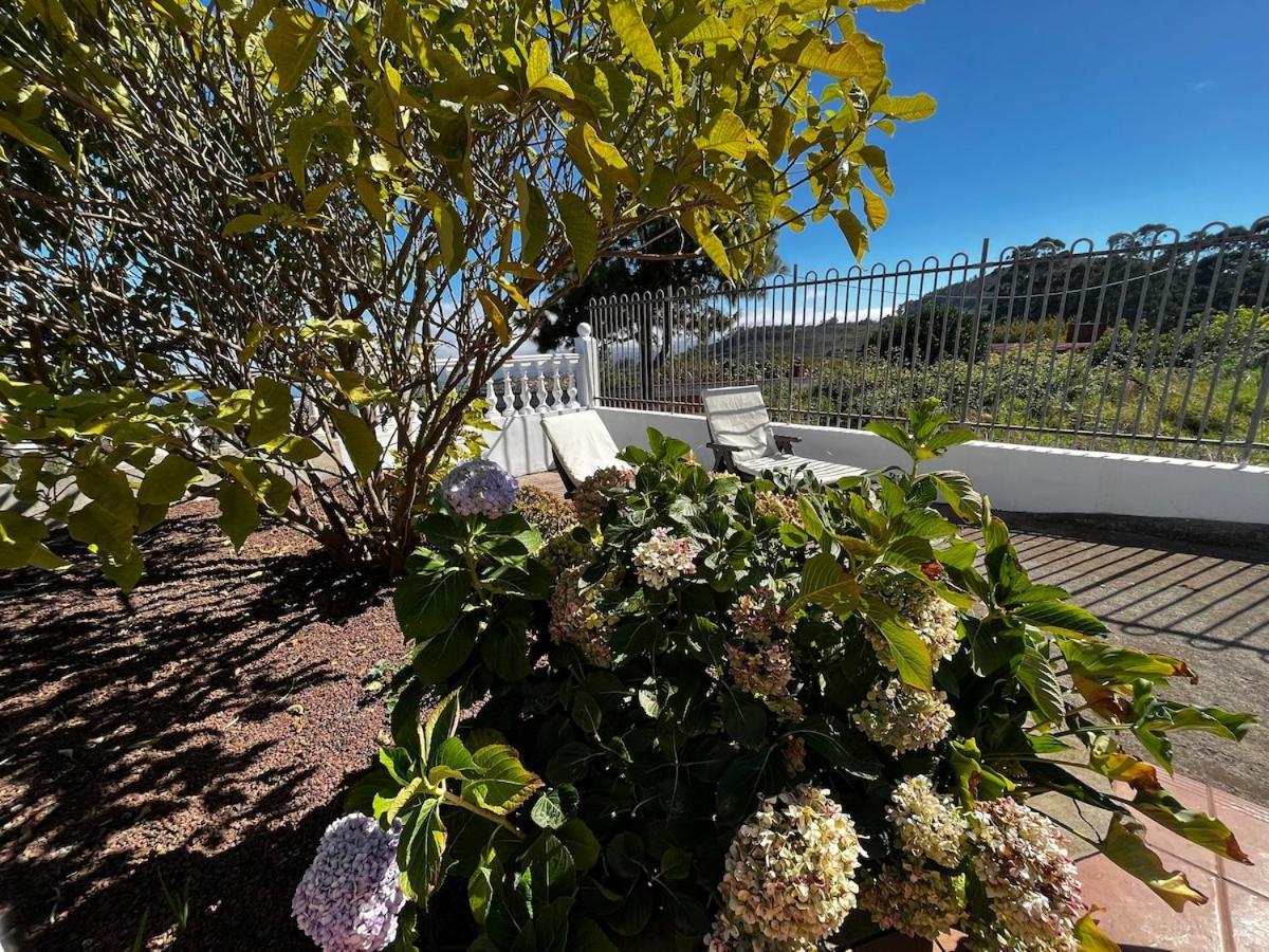 Lightbooking Agua Garcia Tacoronte Con Terraza Экстерьер фото
